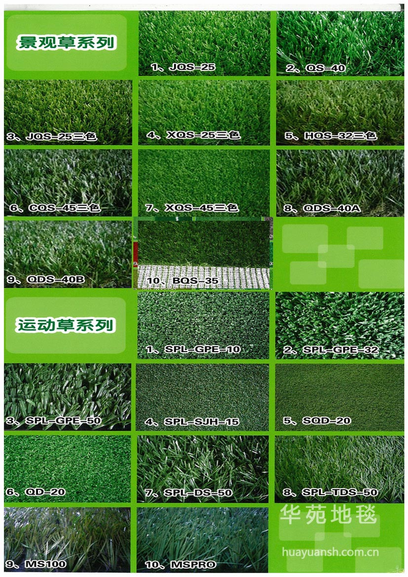草坪地毯2